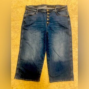 J Jill high rise wide leg crop Florence Size 22 NWT denim